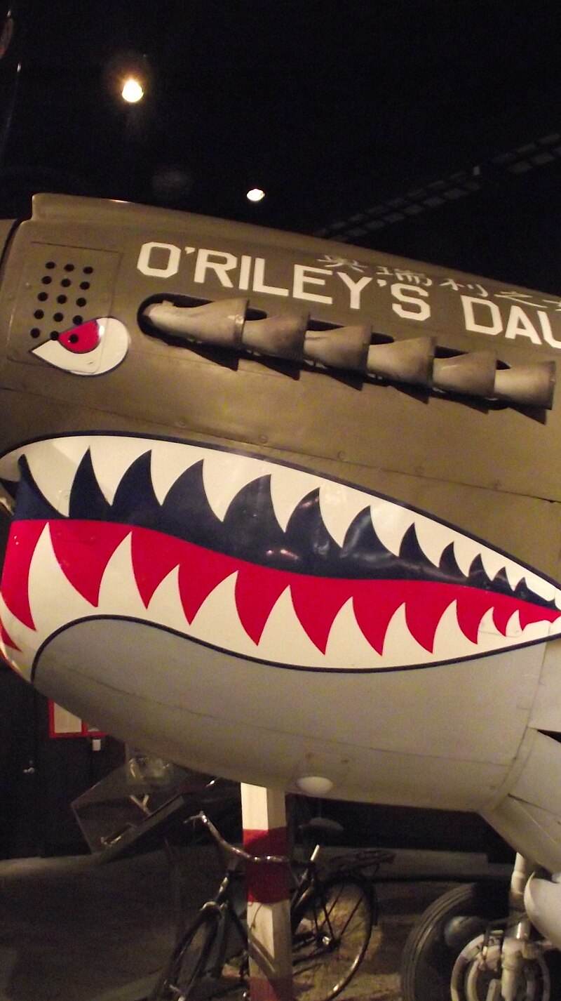  - Warbird