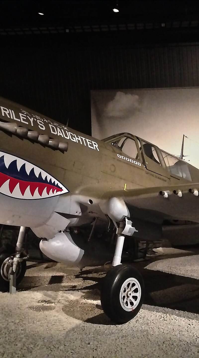  - Warbird