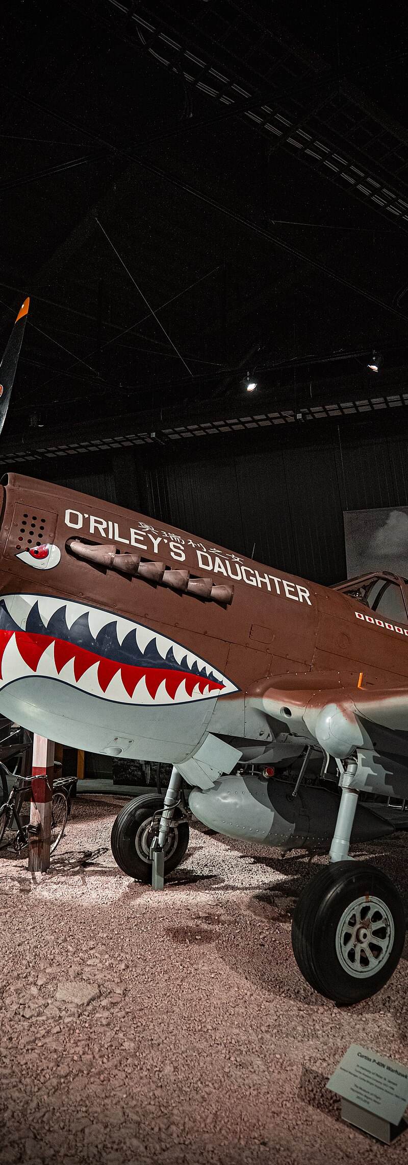  - Warbird