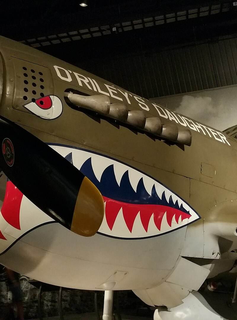  - Warbird