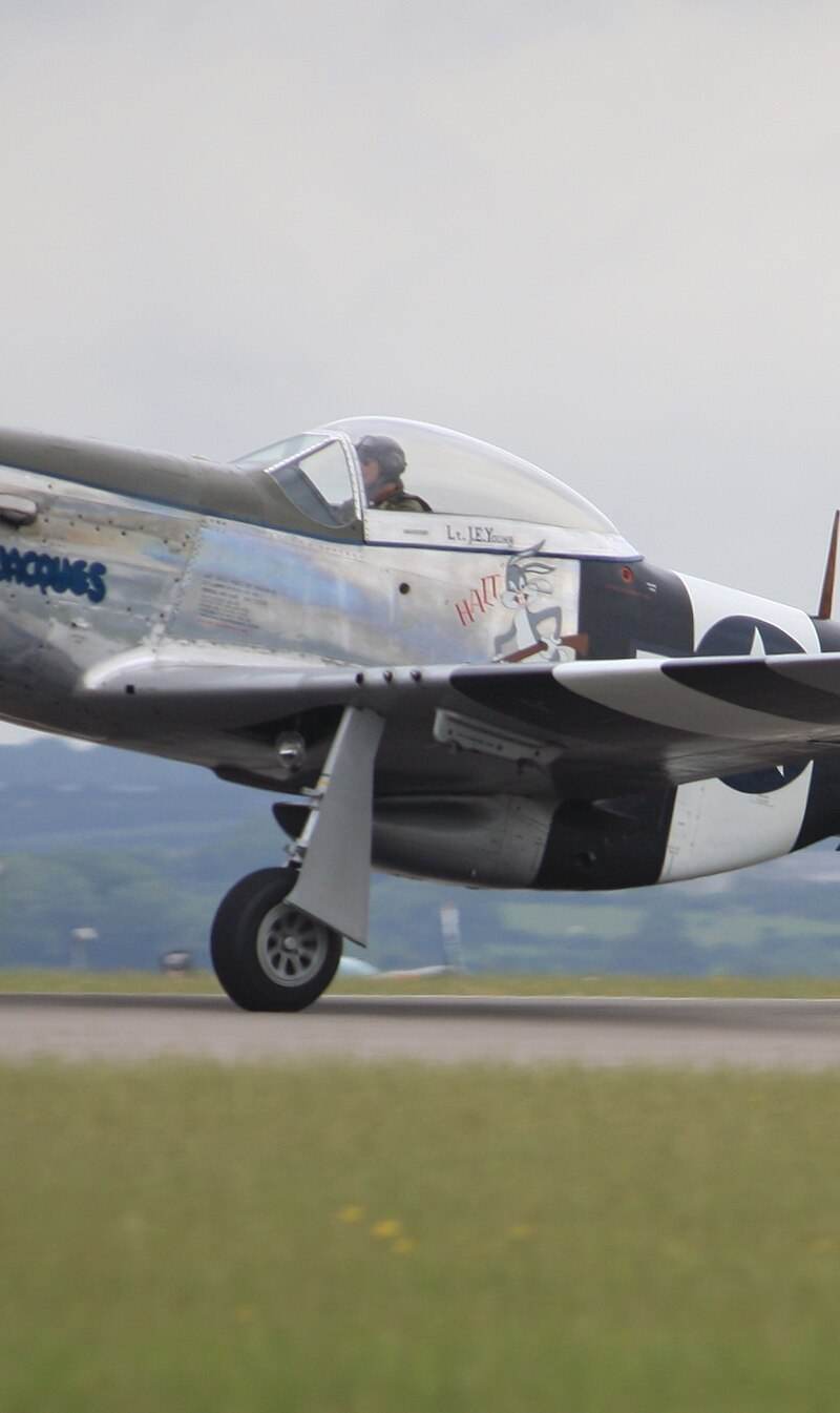  - Warbird