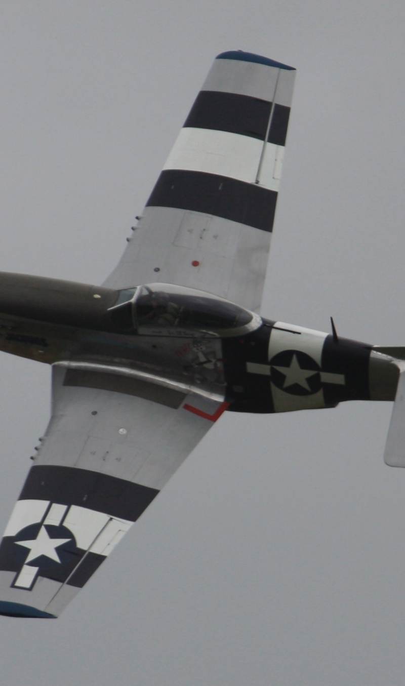  - Warbird