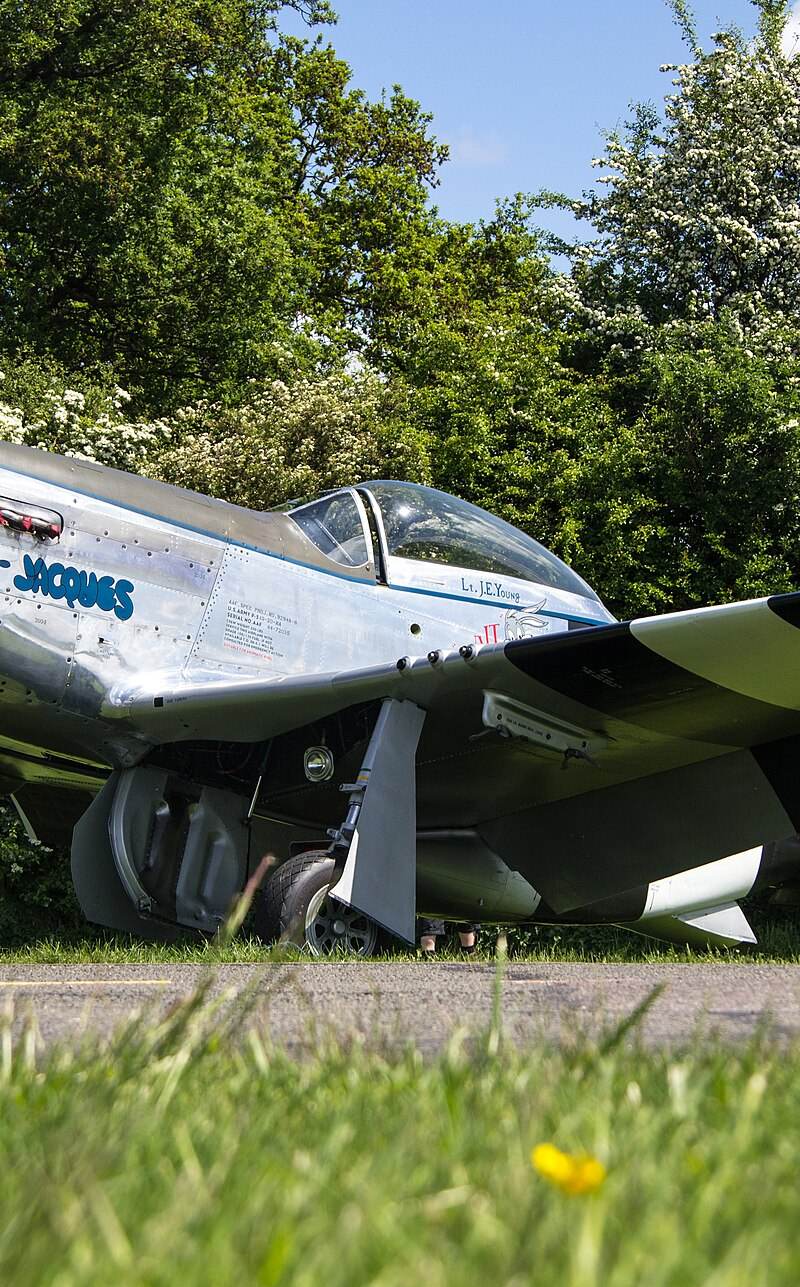  - Warbird