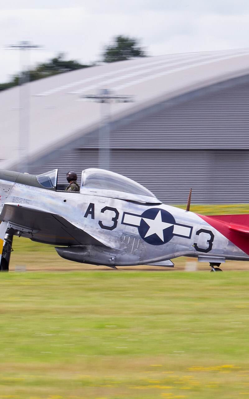  - Warbird