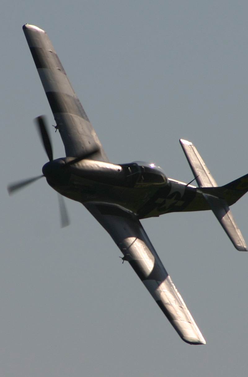  - Warbird