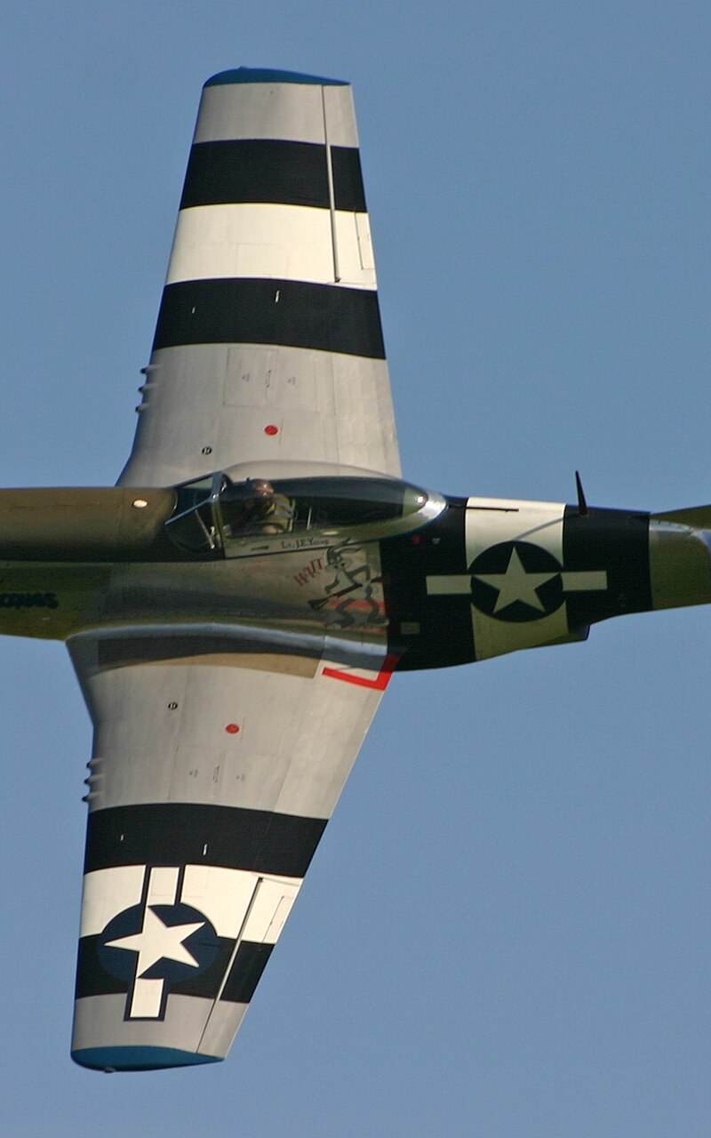  - Warbird