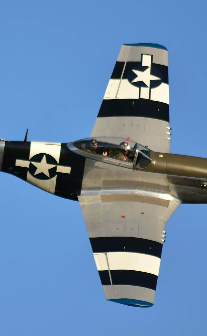  - Warbird