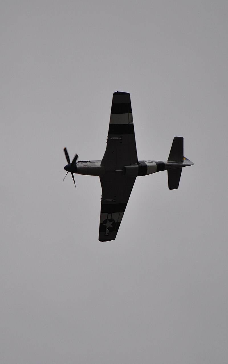  - Warbird