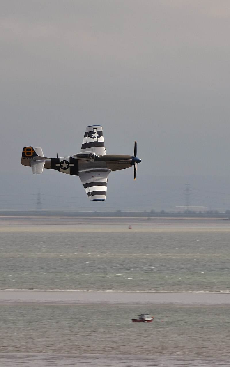  - Warbird