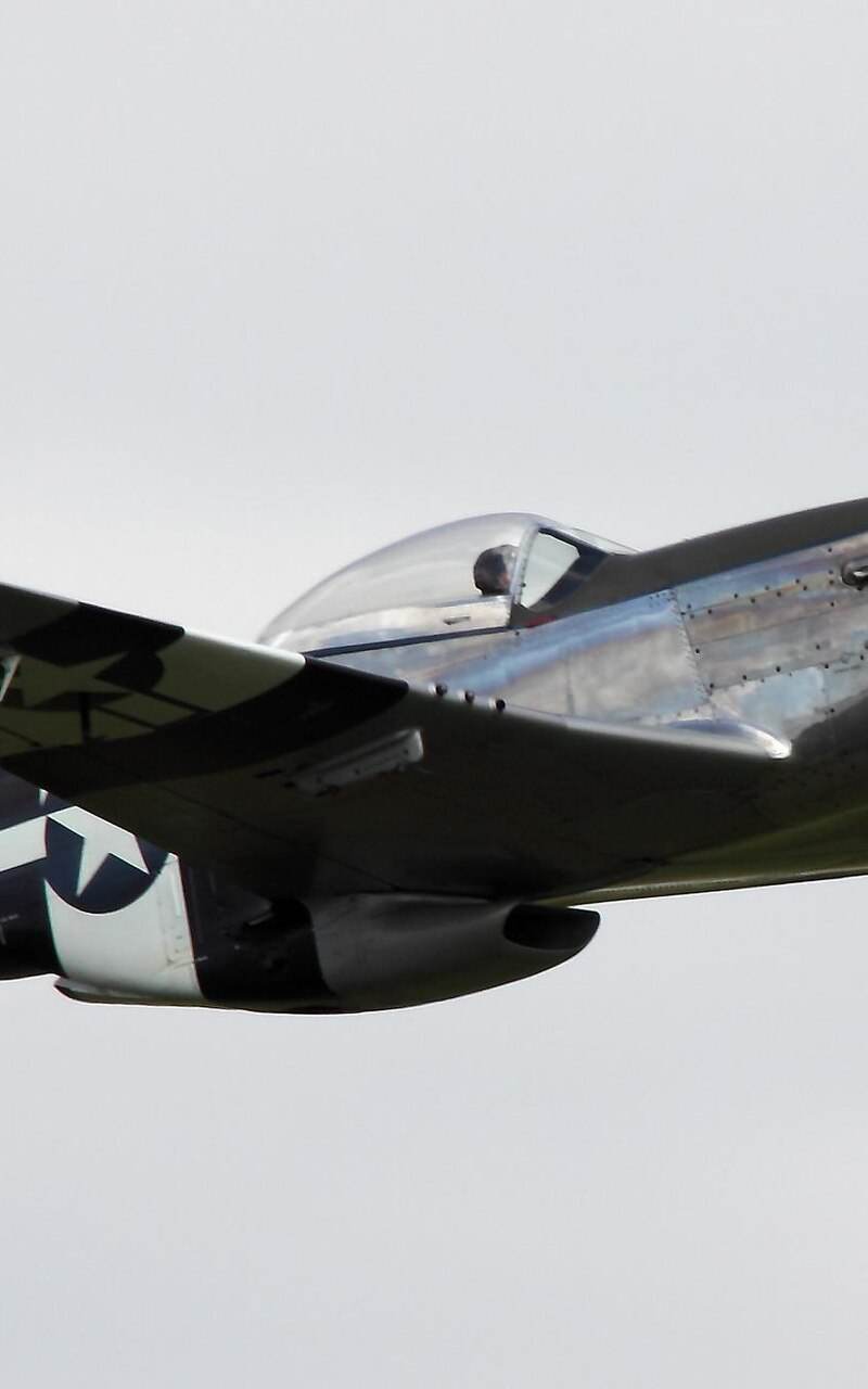  - Warbird