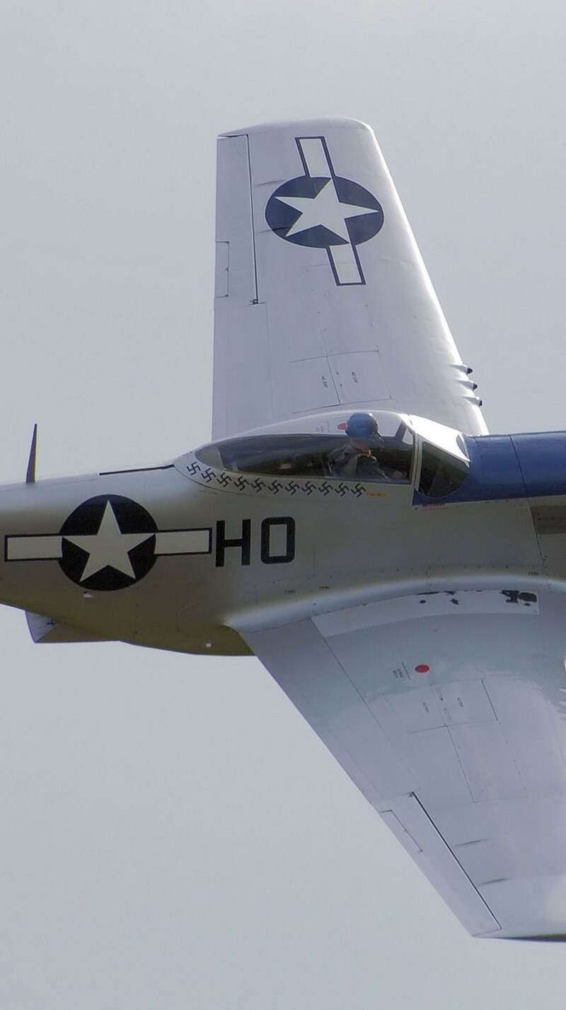 - Warbird