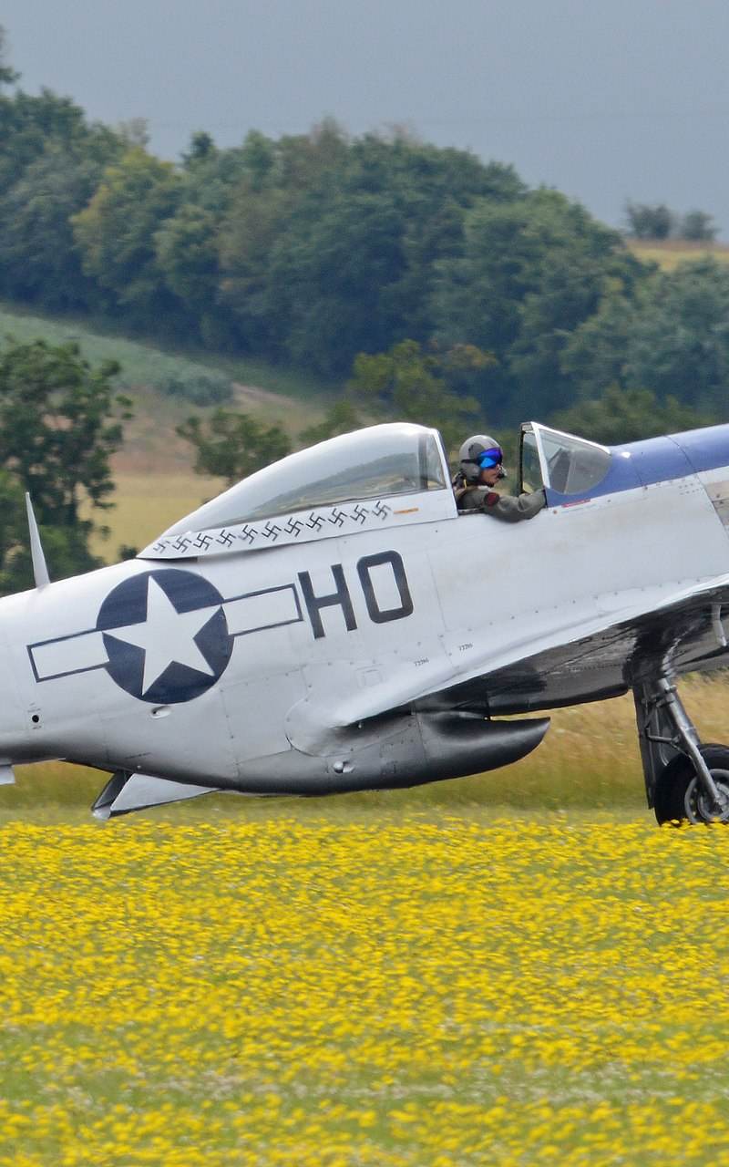  - Warbird