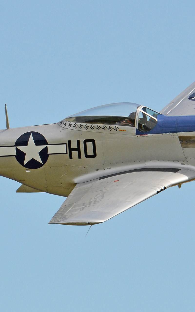  - Warbird