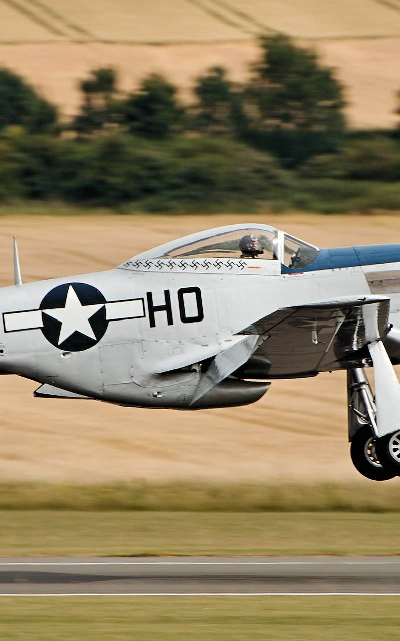  - Warbird