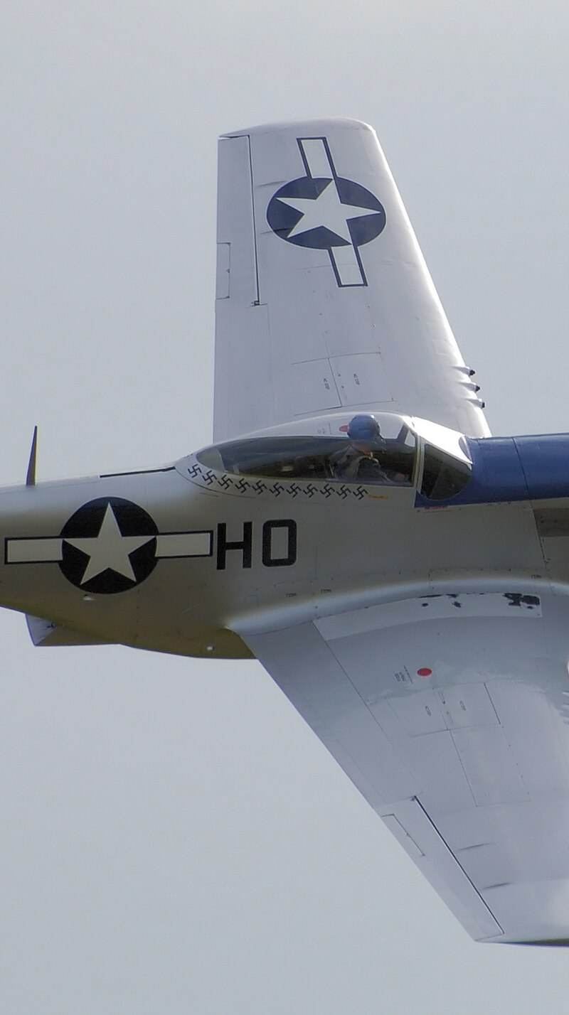  - Warbird