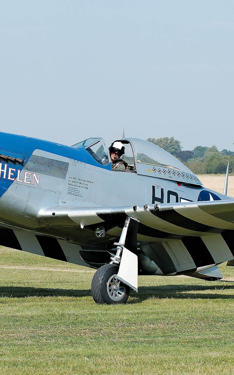  - Warbird