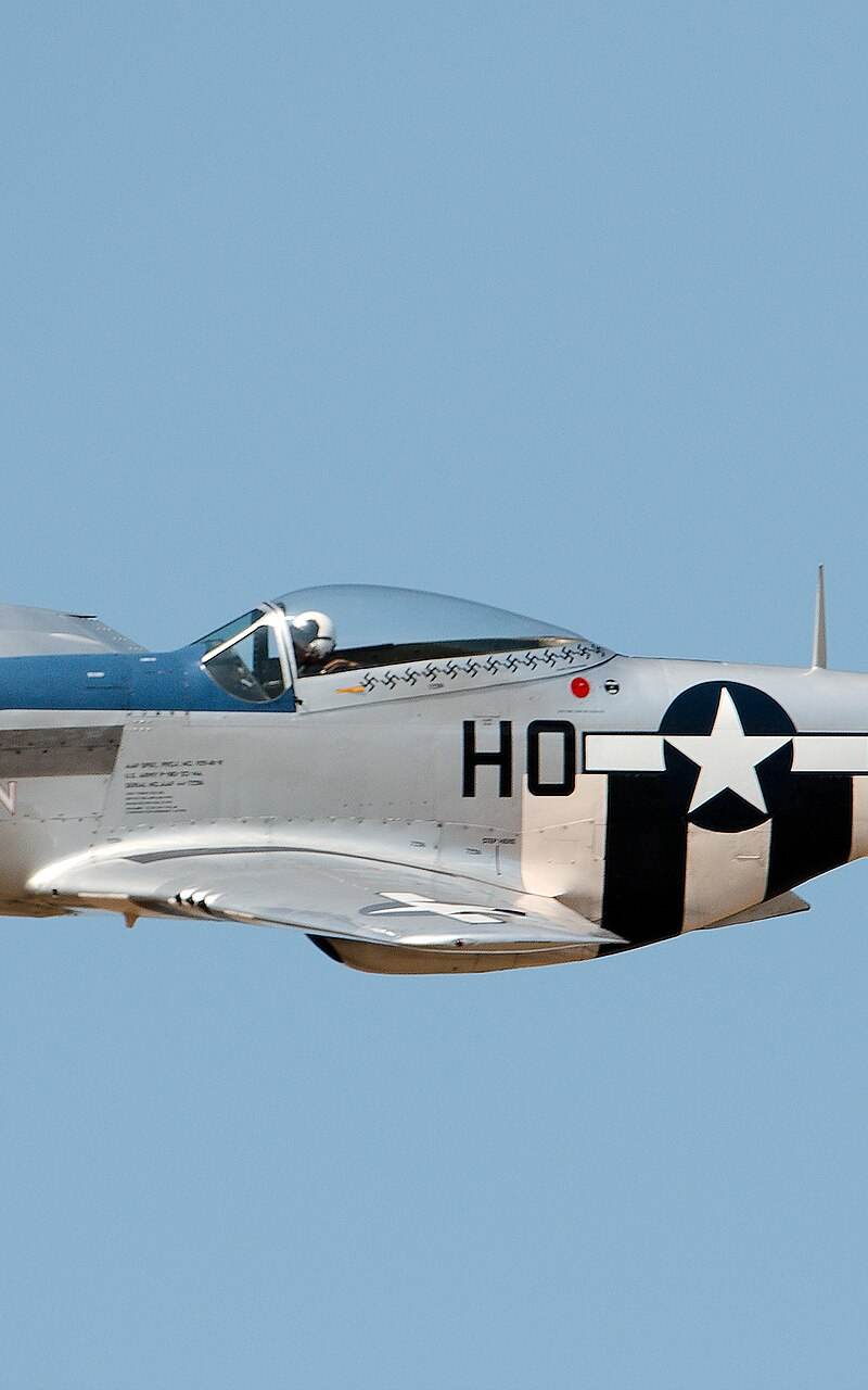  - Warbird