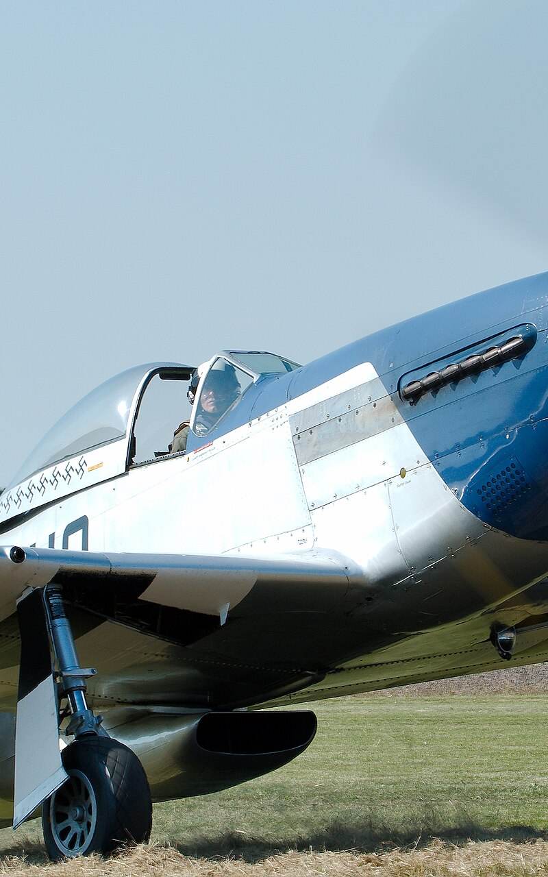  - Warbird