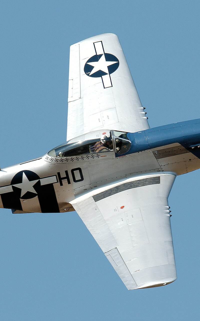  - Warbird