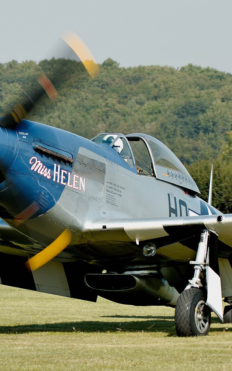  - Warbird