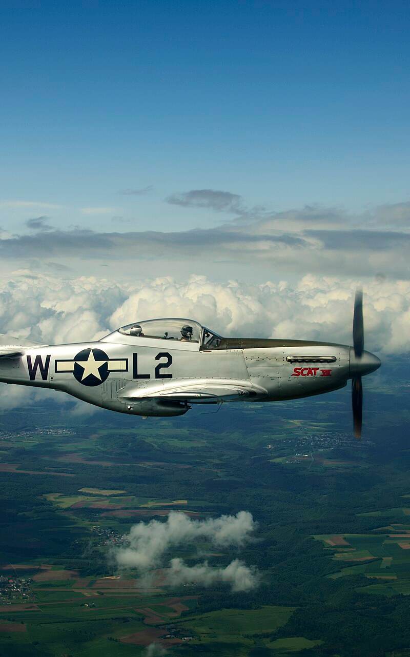  - Warbird