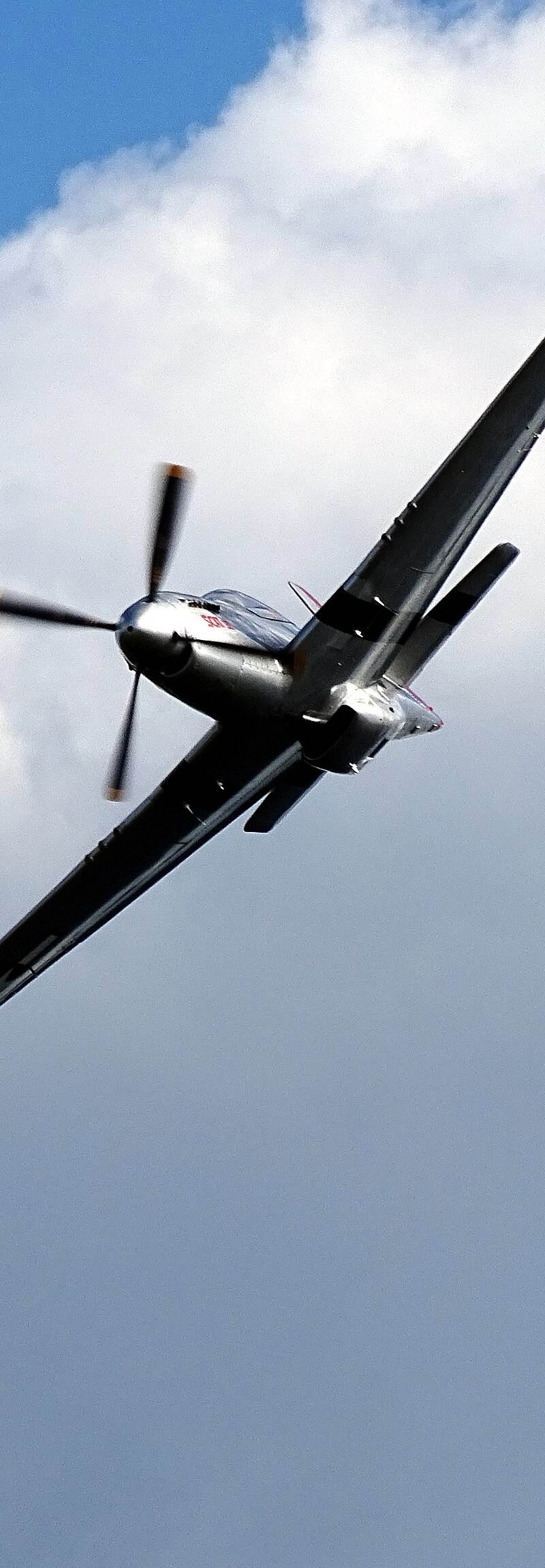  - Warbird