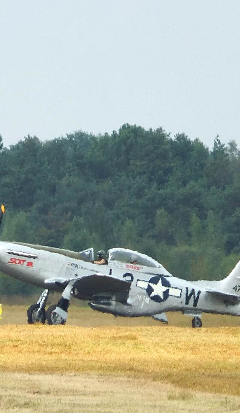  - Warbird