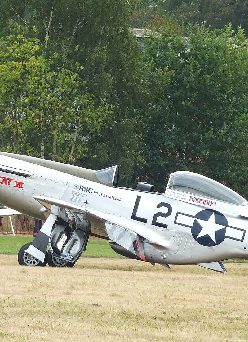  - Warbird