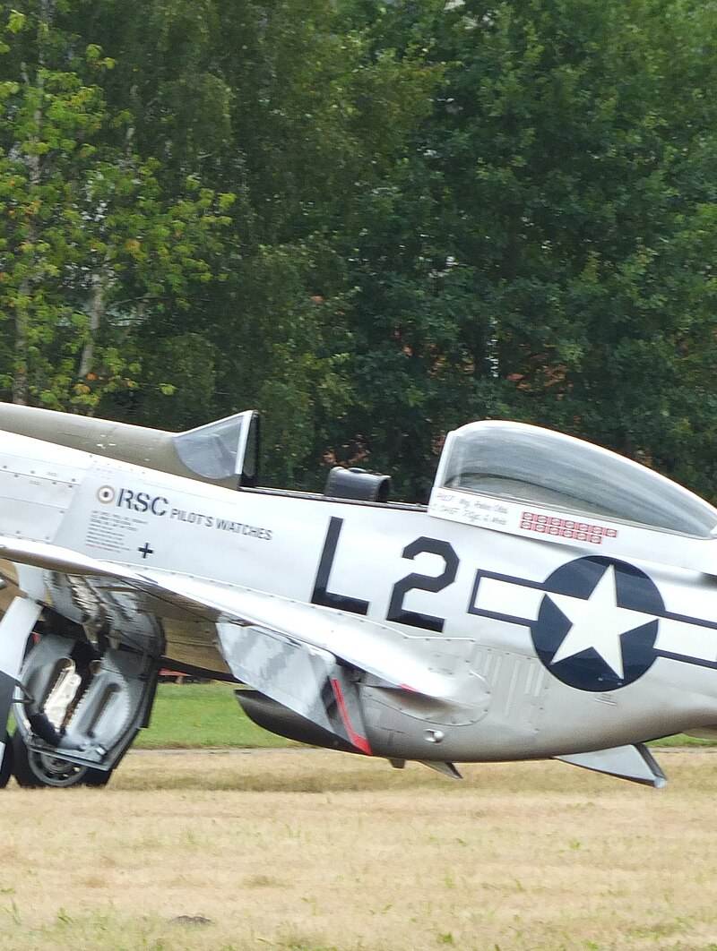  - Warbird