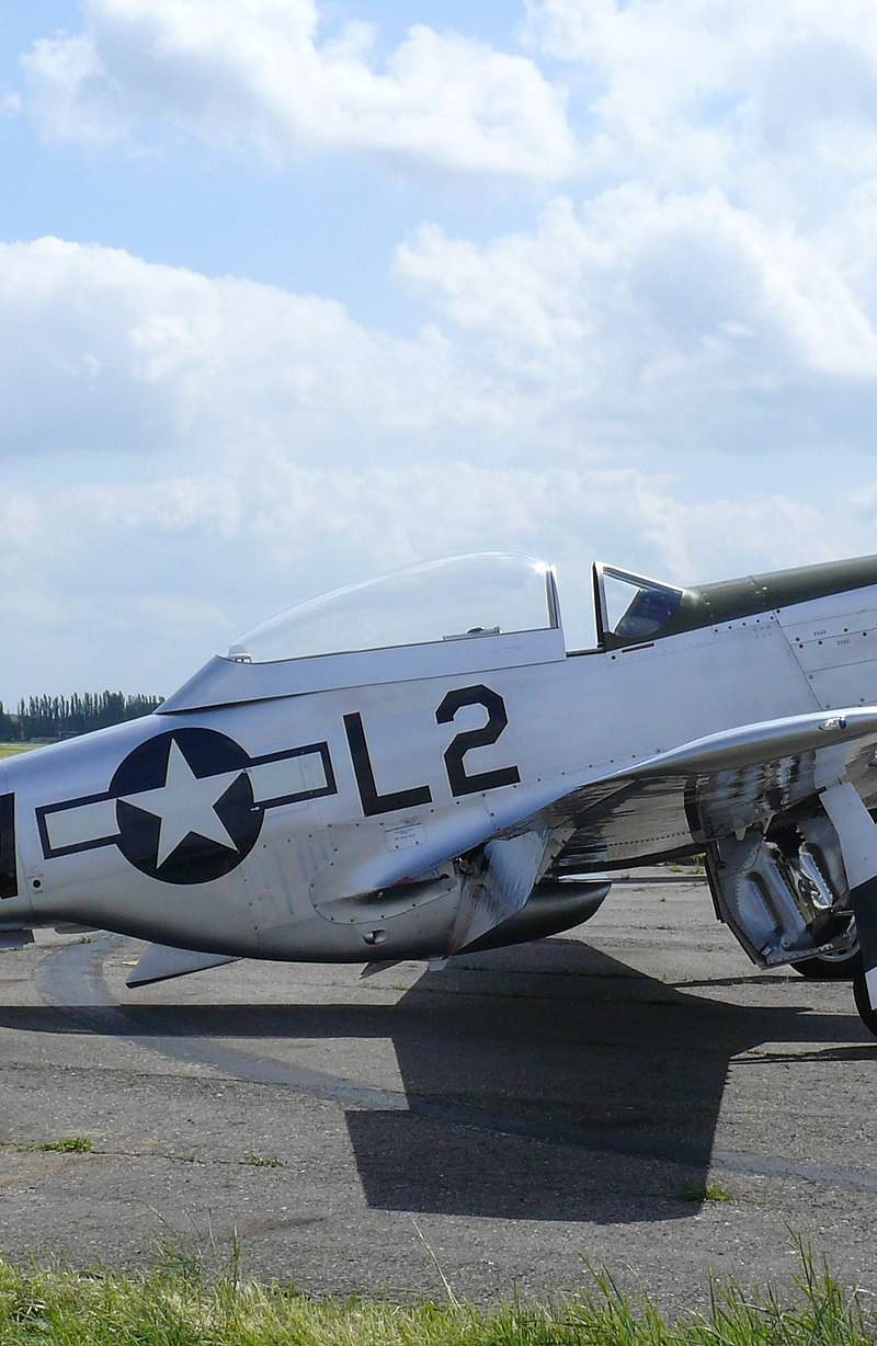  - Warbird