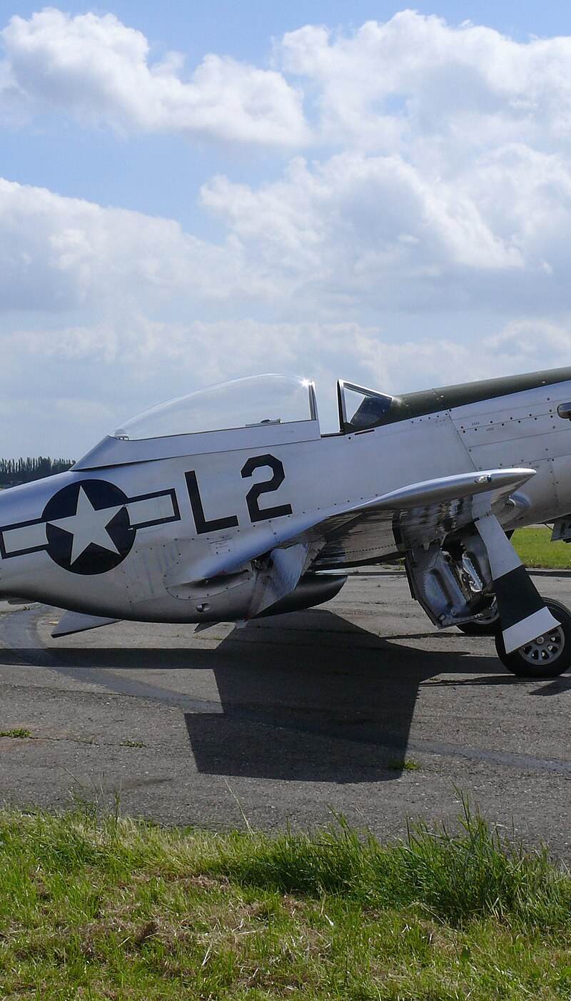  - Warbird