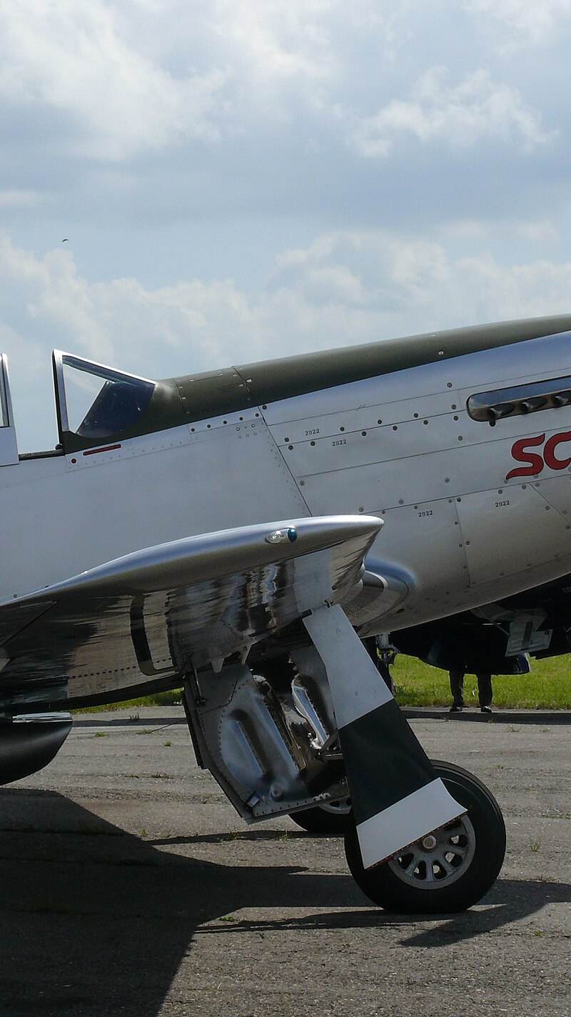  - Warbird