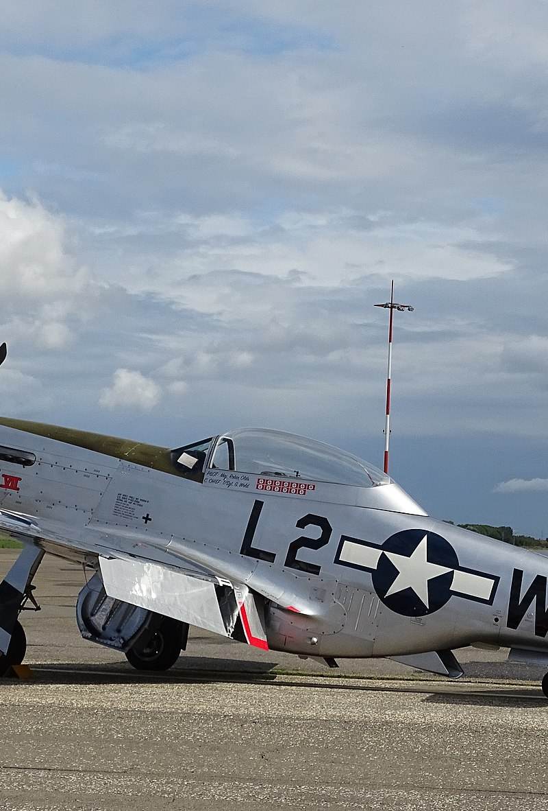  - Warbird