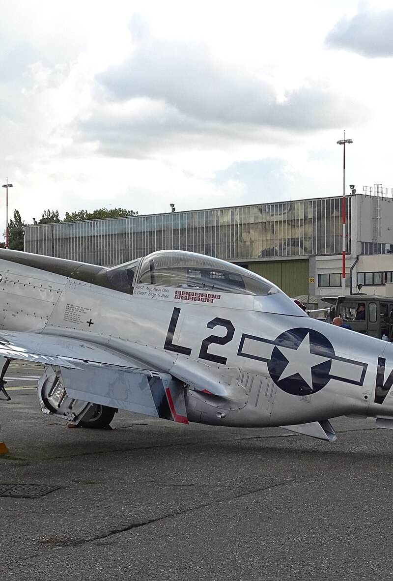  - Warbird