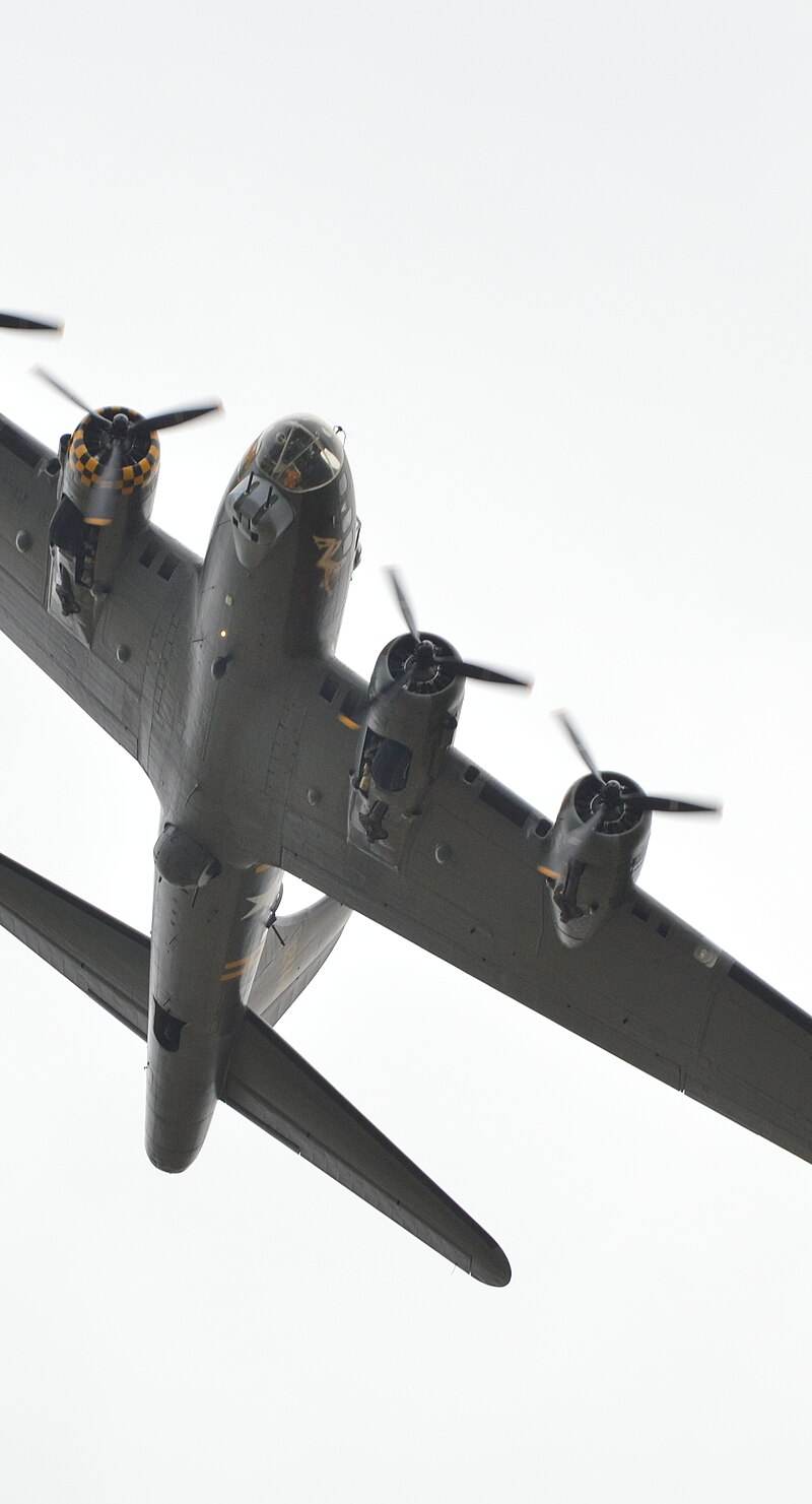  - Warbird