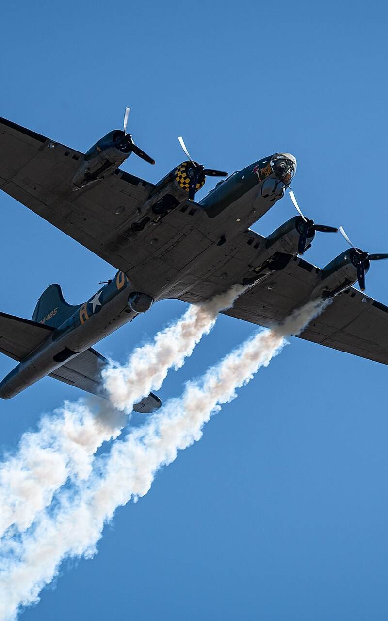  - Warbird