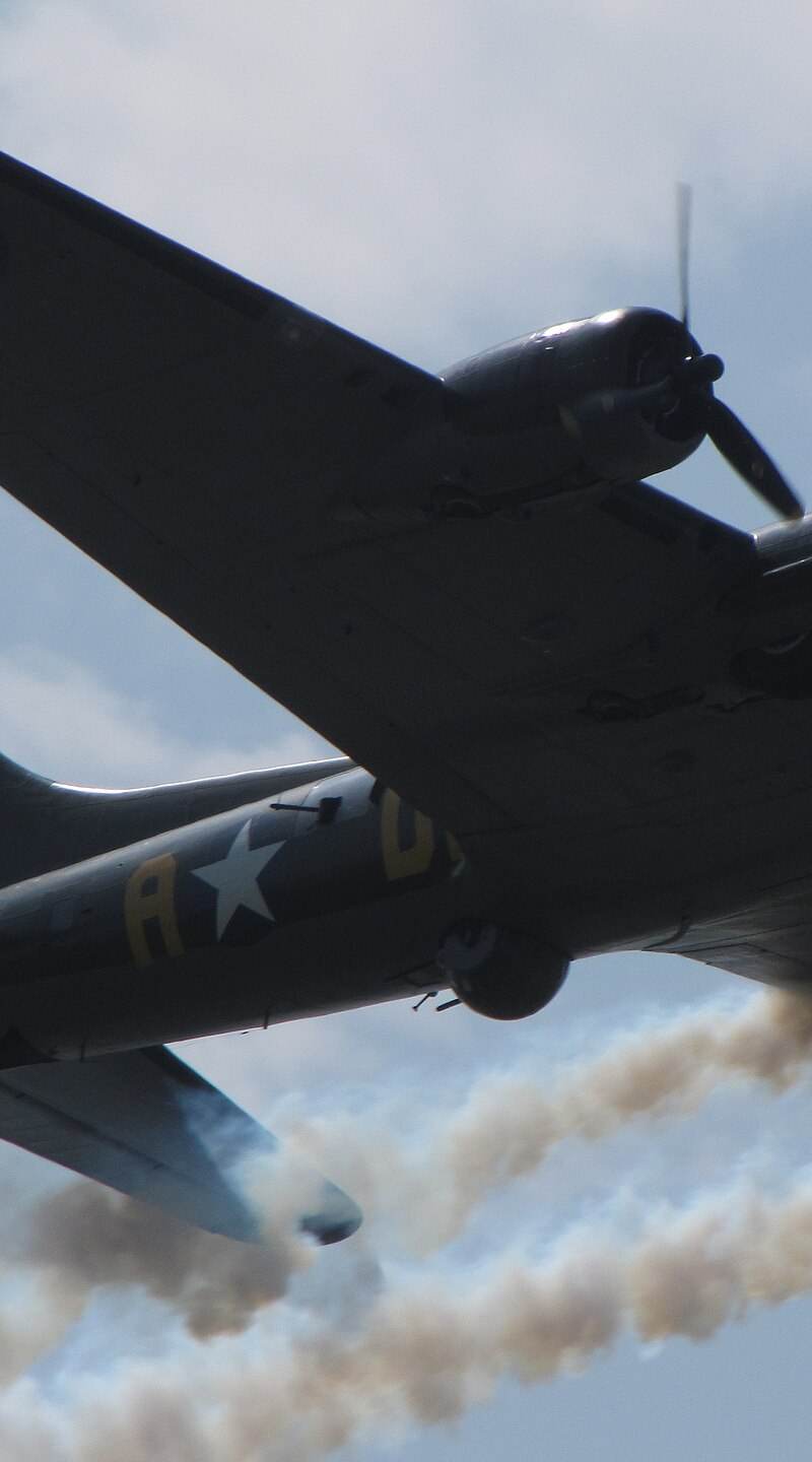  - Warbird
