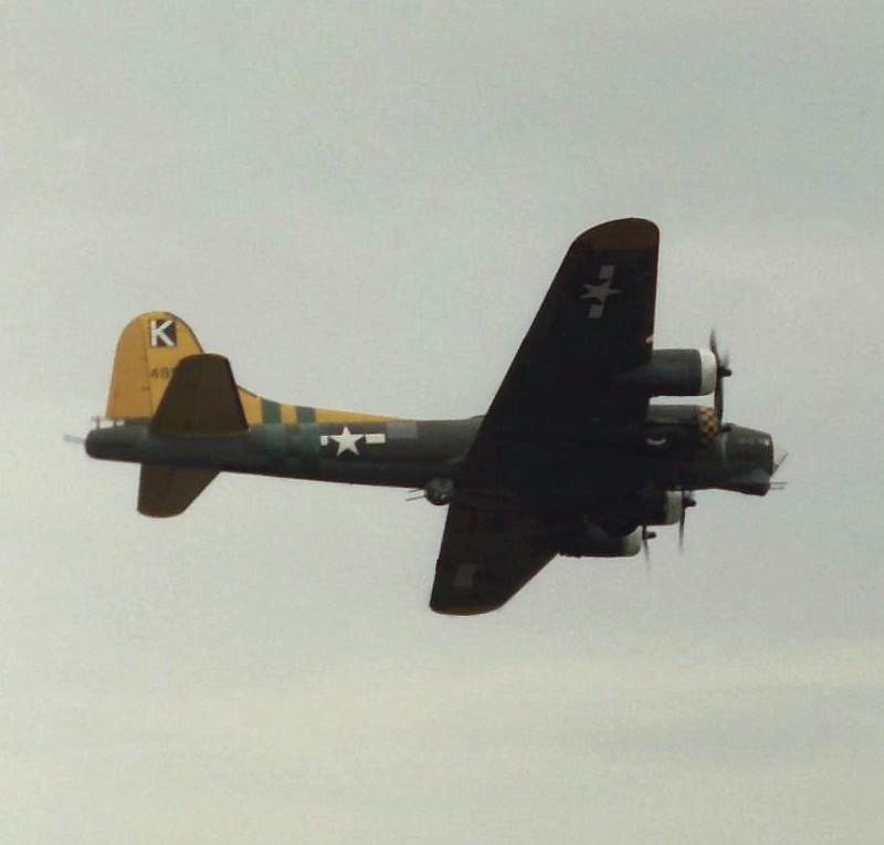  - Warbird