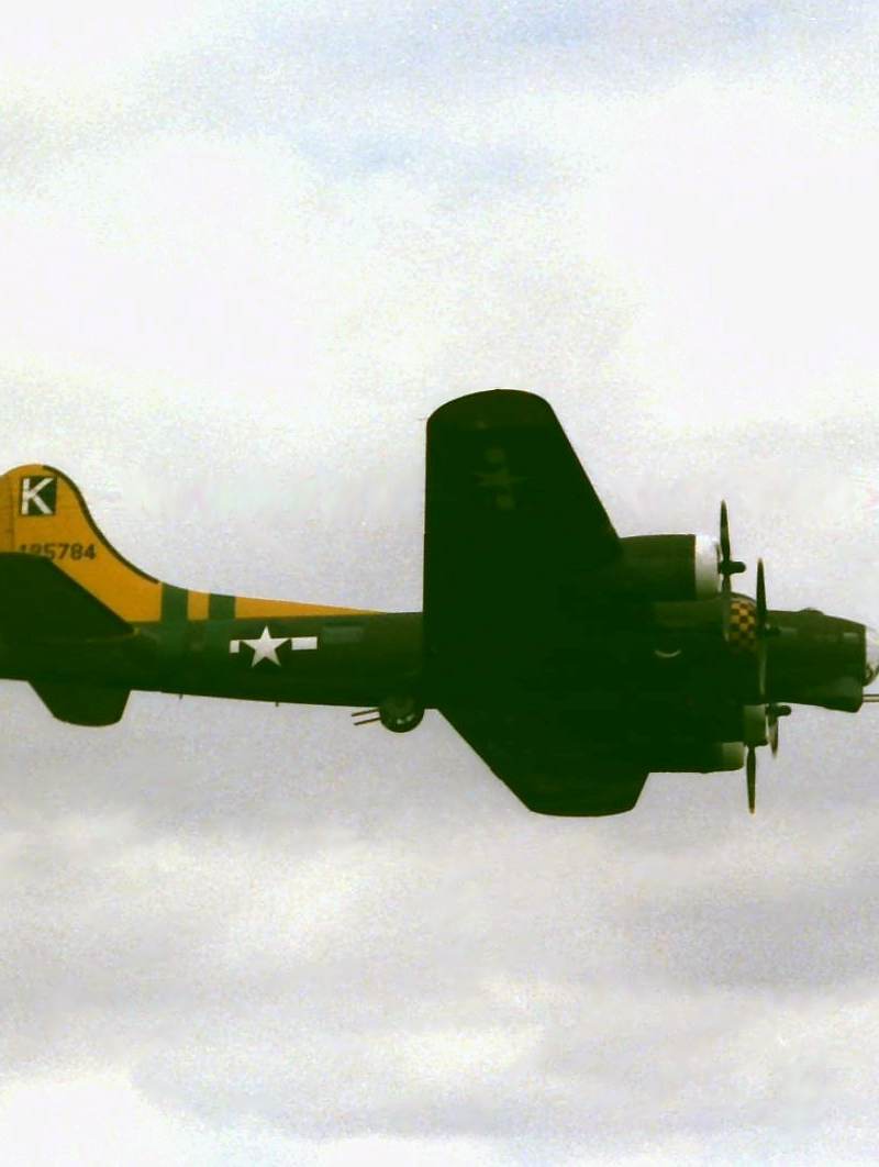  - Warbird