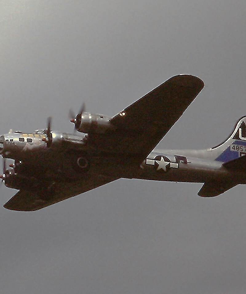  - Warbird