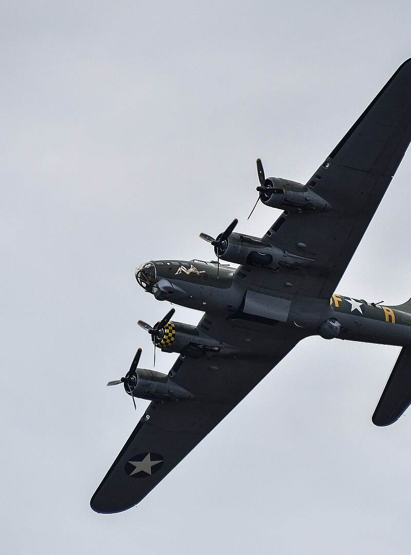  - Warbird