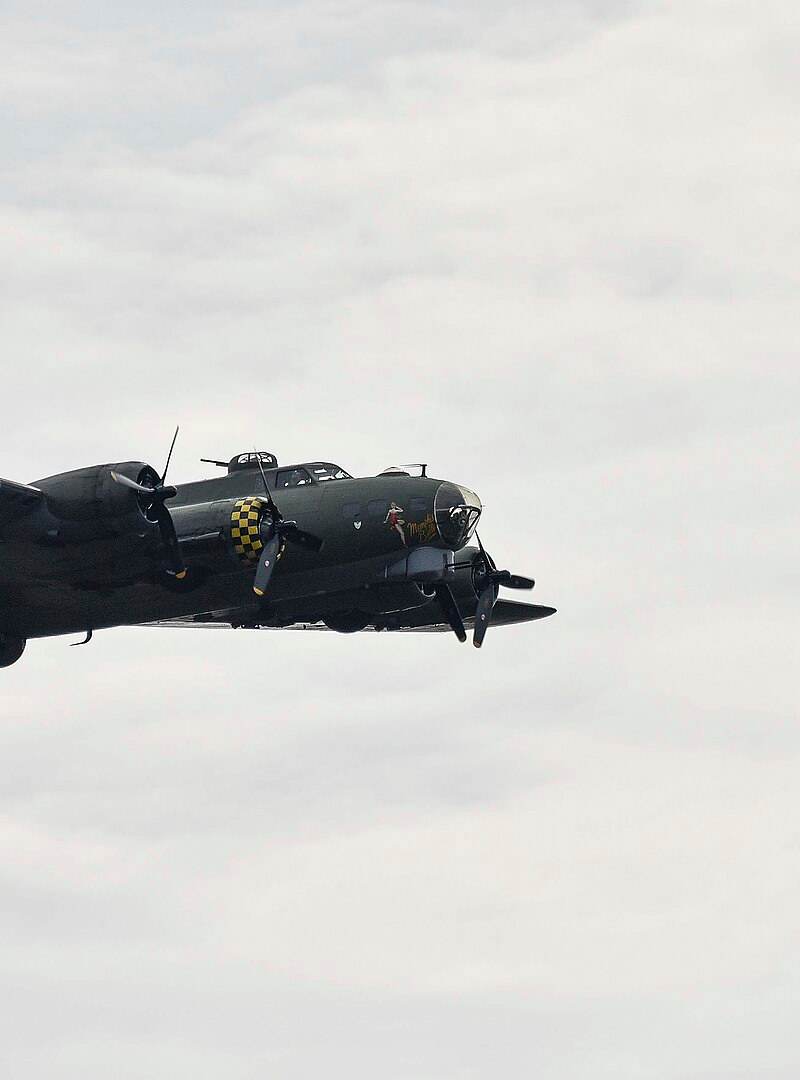 - Warbird