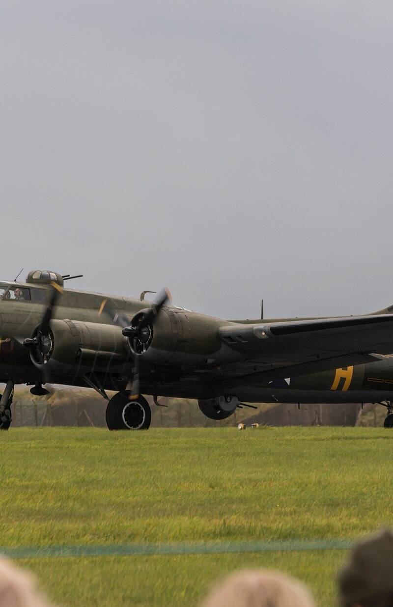  - Warbird