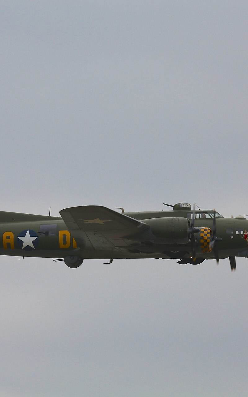  - Warbird