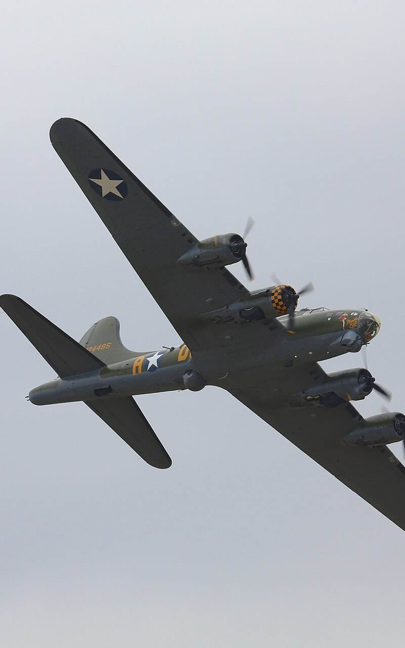  - Warbird