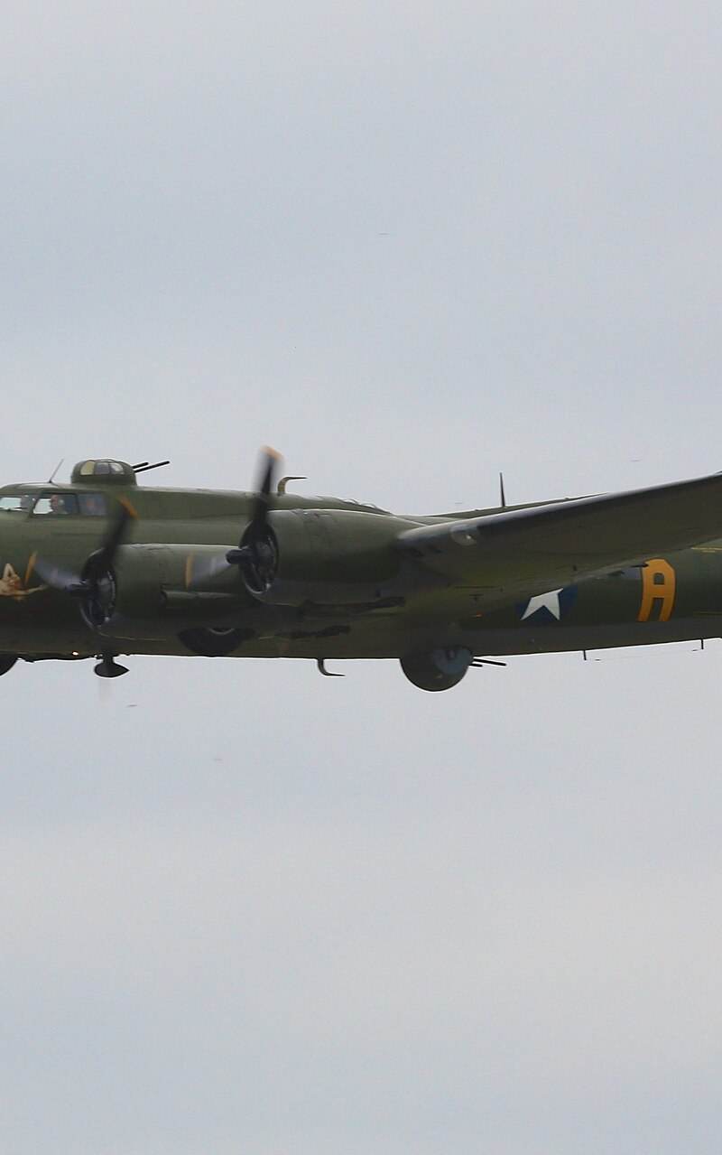  - Warbird
