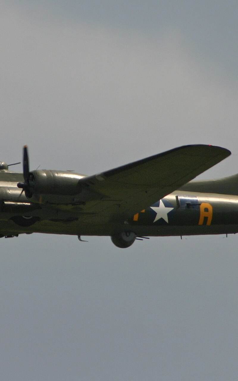  - Warbird