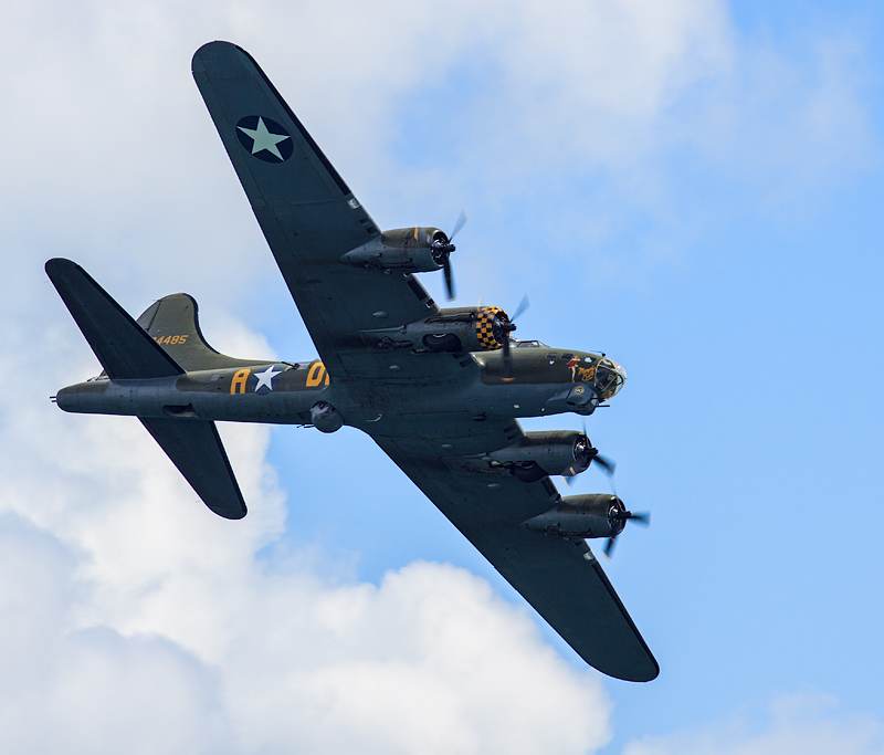  - Warbird