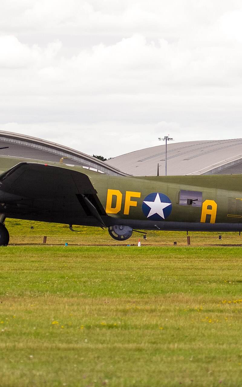  - Warbird