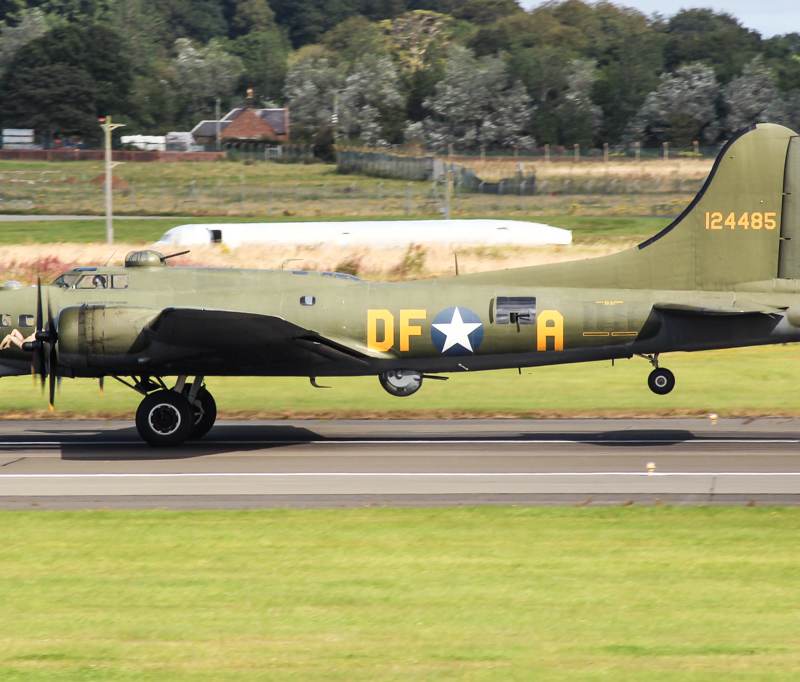  - Warbird